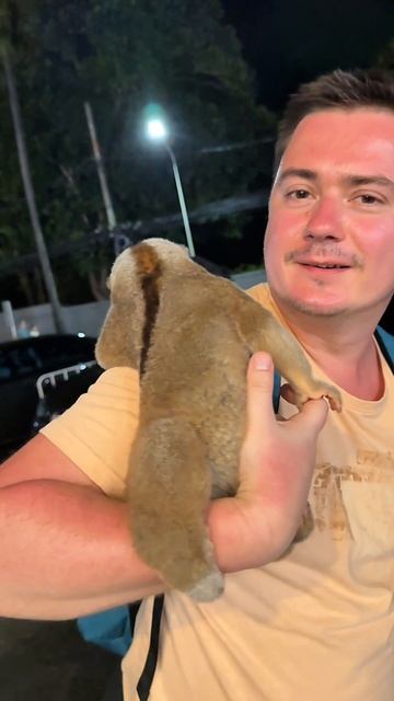 Познакомились с лемуром в Таиланде 😄 смотреть онлайн