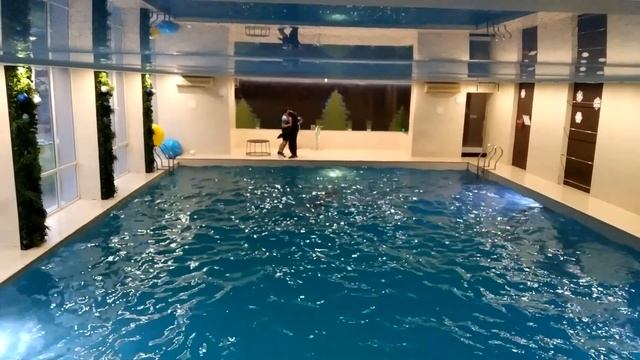 Харьков Украина! морской котик танцует ламбаду. 5.01.23.🐱 смотреть онлайн