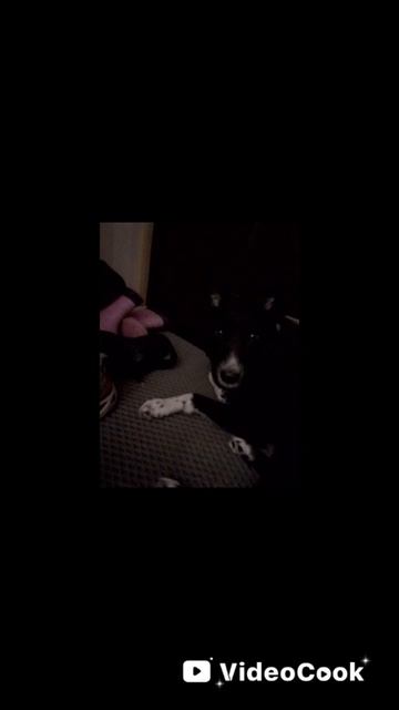 Чуча! смотреть онлайн