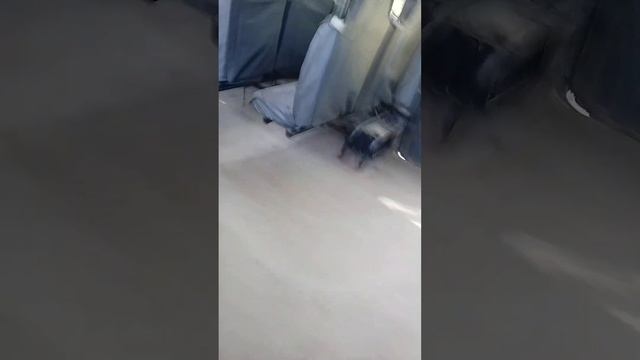 погубили дверь! поездка на автобусе scania omnilink CL94UB у962см маршрут 323 работает кнопка! смотреть онлайн