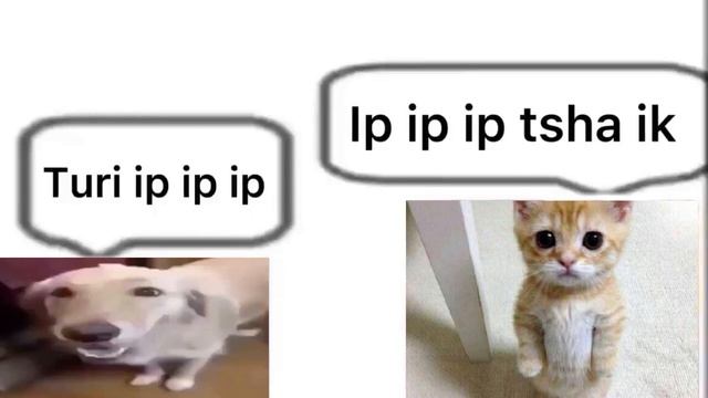 Turi ip ip ip смотреть онлайн