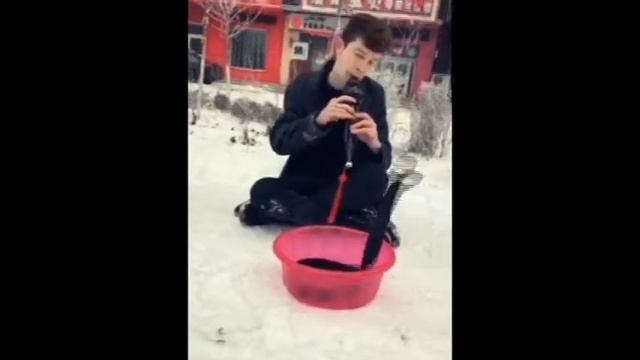 一個美國人学会了印度舞蛇 An American Learns Indian Dance Snake