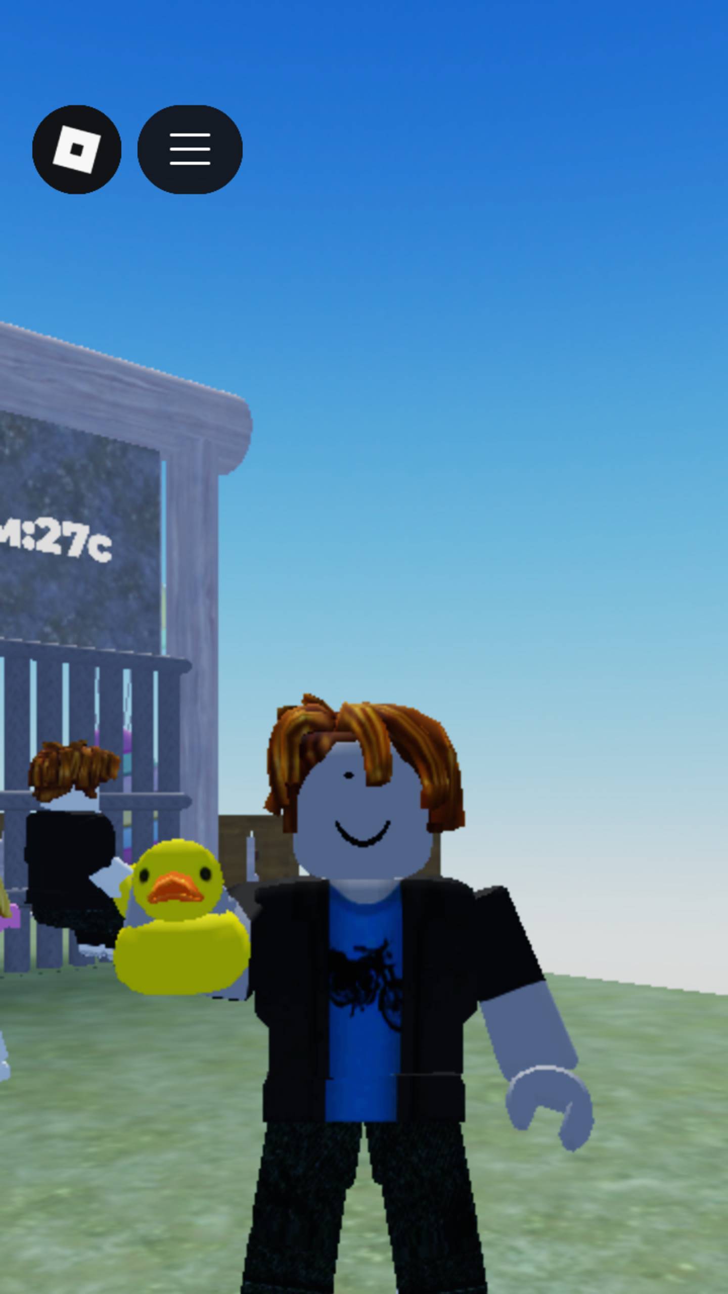 Чикен с другом смотреть онлайн