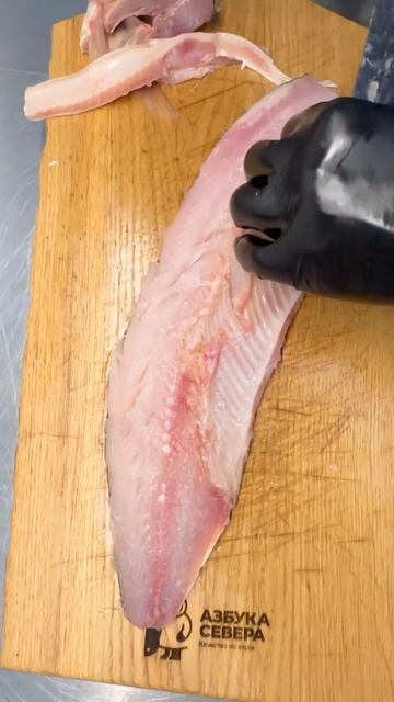 Омуль слабой соли 🔥👍 #азбукасевера