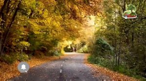 Morning Relaxing music  | Meditation | Relaxing Background music |Trumpet music