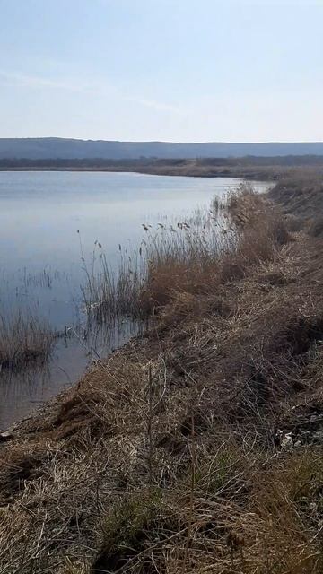 Я снова на рыбалке . #природа #рыбалка #красотаприроды #прктв #рыбак