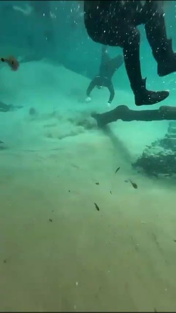 Mergulho No Vulcão Do Rio Da Prata  #rio #fish #riomanso #fishing #riouruguai #nature #underwater