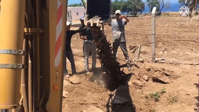 #culture de palmiers #drilling mechanics #caterpillar #428D смотреть онлайн