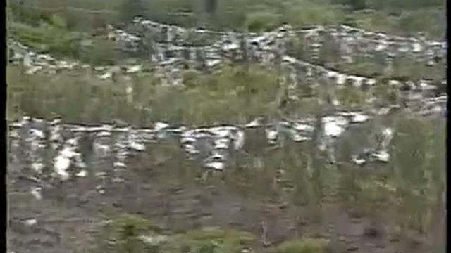 Защита от дроздов смотреть онлайн