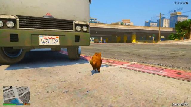 СИМБА & КІШКЕНТАЙ ДЖОННИ КОЛБАСА ҰРЛАДЫ (GTA V) смотреть онлайн