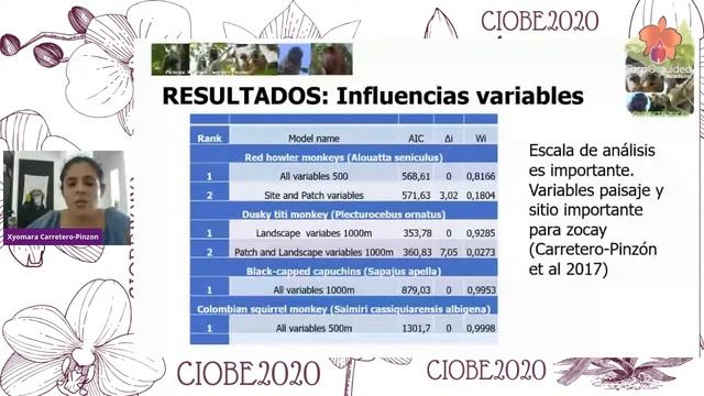Proyecto Zocay: Lecciones Aprendidas Del Monitoreo A Largo Plazo De Poblaciones De Primates