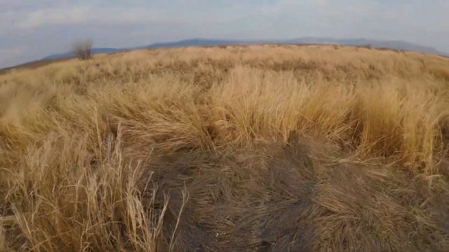 Весенняя охота на утку с Махокрылом. Манок Schoolhunter Серия Одержимость.Чучела NorthWay.Река Амур