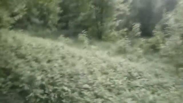 13 Н Л О смотреть онлайн