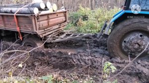 #бездорожье #вывозлеса #offroad #МТЗ82БАЛОЧНИК Вывозим лес с делянки