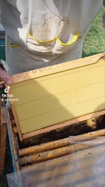 🐝🐝🐝🐝🐝🐝🐝 смотреть онлайн
