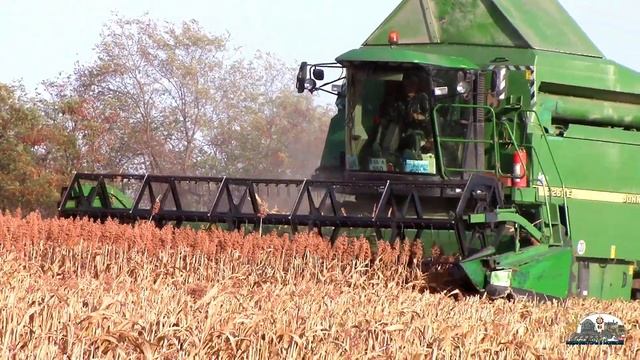 Выращивание СОРГО в Молдове !Уборка комбайном John Deere 2266 extra и Mtz 952.2 смотреть онлайн