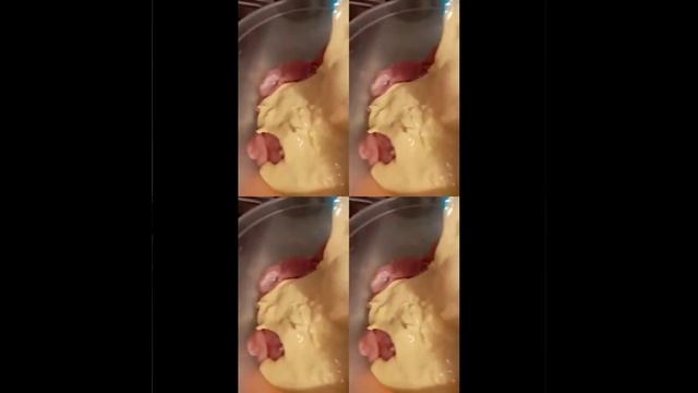 Женечка Тофилович