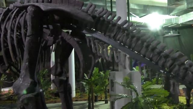 Дино Парк "РЕКС" смотреть онлайн