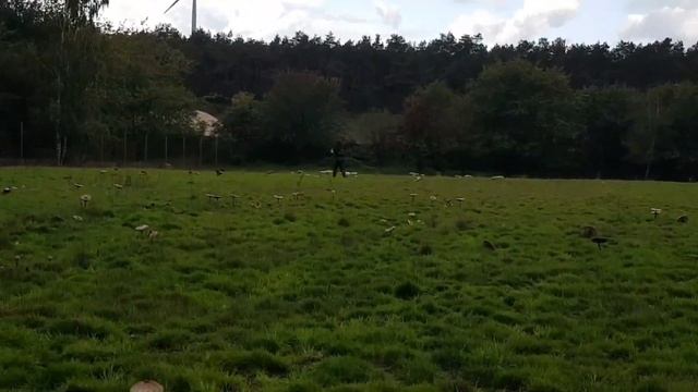 Самый Быстрый Урал в мире наверно едем в оффроад парк Fursten Forest