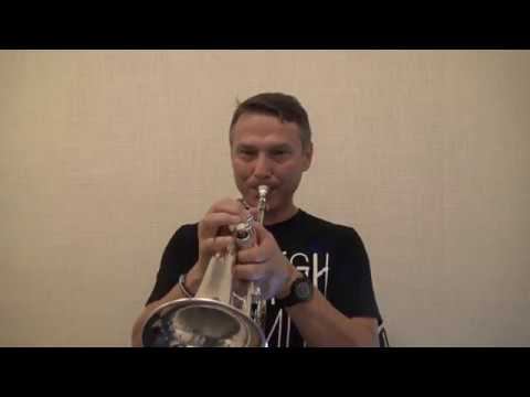 Обзор китайского 