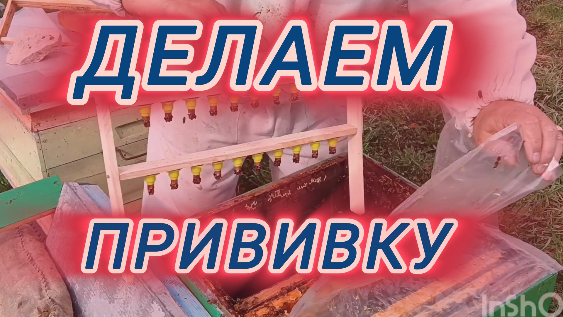 Делаем прививку смотреть онлайн