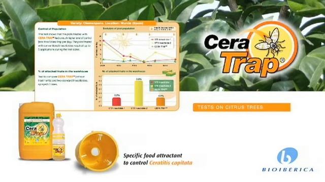 Cera Trap (English version) смотреть онлайн
