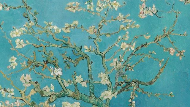 Canvas. Almond Blossom 4K смотреть онлайн