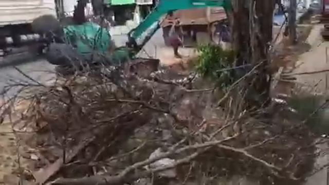 Подготовка тротуара на Самуи Тайланд. Спецпартнер. смотреть онлайн