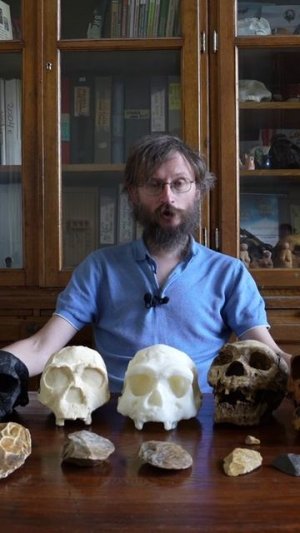 Шимпанзе откусила лицо... – антрополог Станислав Дробышевский