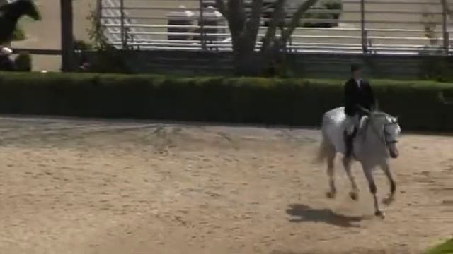 Video of CASCADE ridden by AMANDA STEEGE from ShowNet! смотреть онлайн