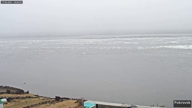 Ледоход 2021 - р. Лена - Покровск - 2021-05-17 смотреть онлайн