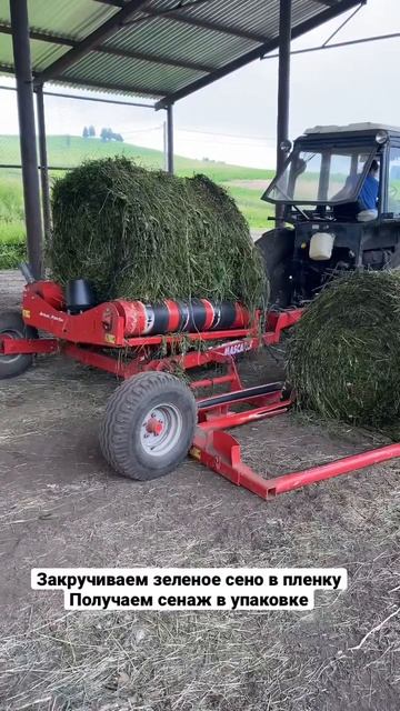 Технология заготовки сенаж в упаковке для маралов смотреть онлайн