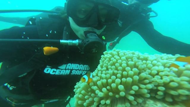 ViVi Bo at Coral Island смотреть онлайн