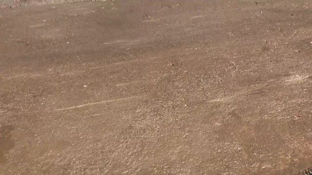 Minipala Venieri 1.33 b смотреть онлайн