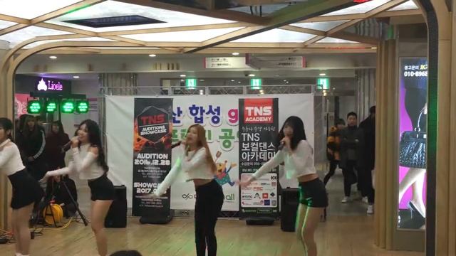 Tara và điệu nhảy huyền diệu