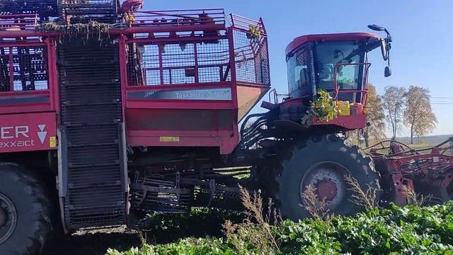 Уборка сахарной свёклы смотреть онлайн