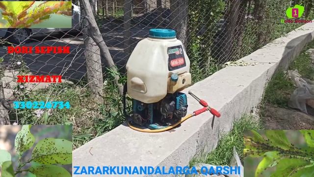 EKINLARGA DORI SEPISH XIZMATI 📞330226734 Зараркунандаларга карши дори сепиш