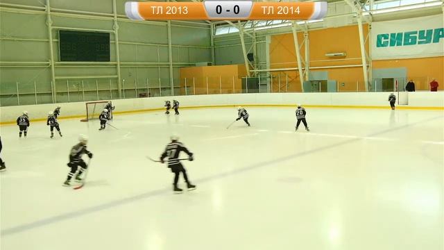 Игра ТЛ2013 - ТЛ2014 смотреть онлайн