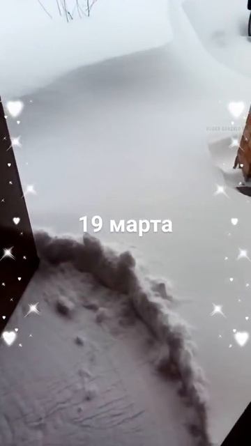 Снег в Каменском 19 марта смотреть онлайн