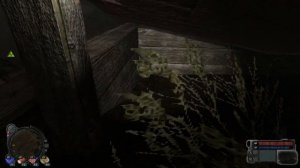 тайники на Юпитере, S.T.A.L.K.E.R. Тернистый путь