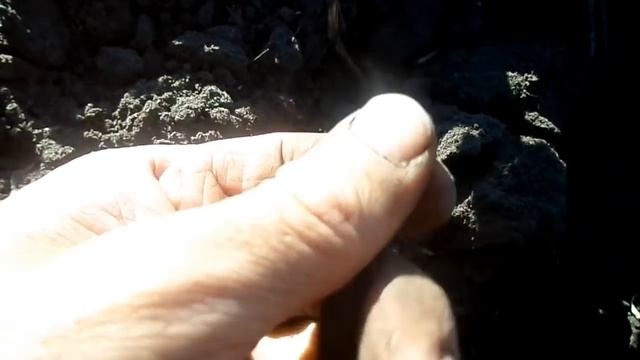 В пошуках місця для копу! смотреть онлайн