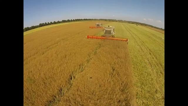 Luftvideo Mit Der Drohne