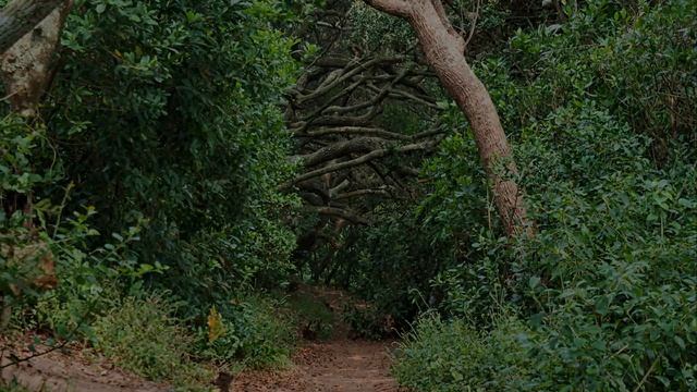 СП. Умхланга / ЮАР