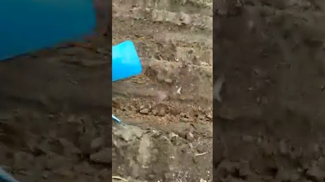 Single farrow Trench Opener work in field | Deluxe Agriculture Industries смотреть онлайн
