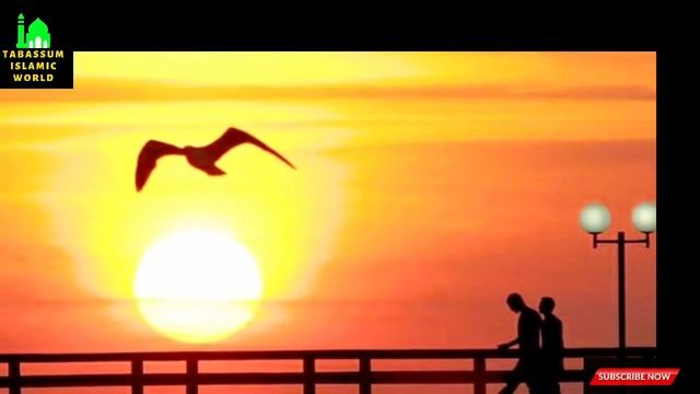 सपने में फूलों का पेड़ दिखाई देना смотреть онлайн