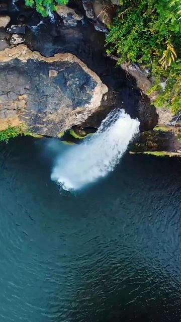 Tropical Waterfall Relaxation | Soothing Water Sounds | Nature's Serenity смотреть онлайн