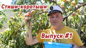 Стиши-коротыши. Выпуск #1