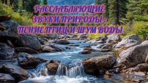 РАССЛАБЛЯЮЩИЕ ЗВУКИ ПРИРОДЫ : ПЕНИЕ ПТИЦ И ШУМ ВОДЫ.