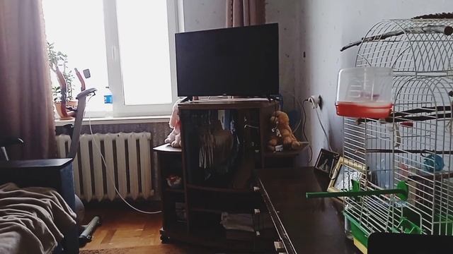 ЗАПОРОЖЬЕ БАБУРКА НА СВЯЗИ НУ ЗДРАВСТВУЙ смотреть онлайн