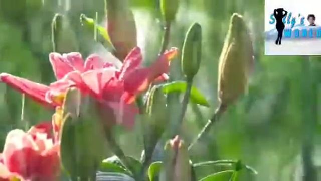 Hide ID Mukadzi wangu anondinyima Bonde Tine vana four tese hongu ndinezvandakamboita asi ndakukumb смотреть онлайн